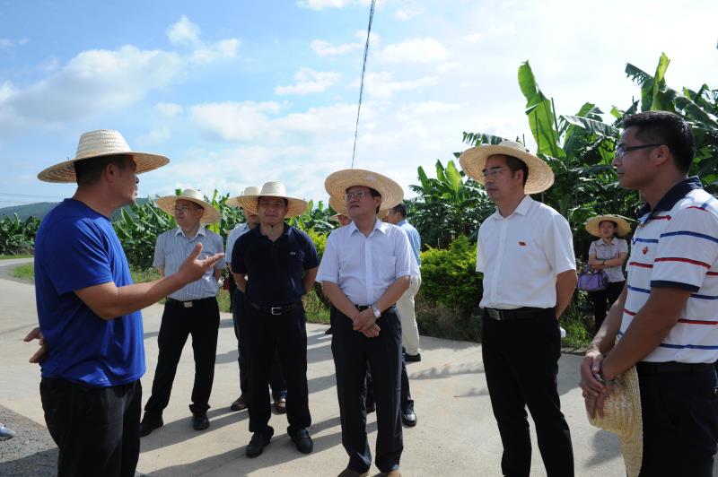 2017年8月8日时任玉林市市长苏海棠（右三）在兴业县委陆金学书记（右二）、杨开源县长（右四）、在丰浩公司总经理吴启军（左一）的陪同下到示范区调研指导