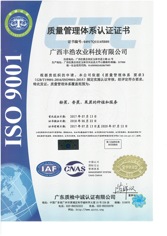 国际ISO9001质量证书